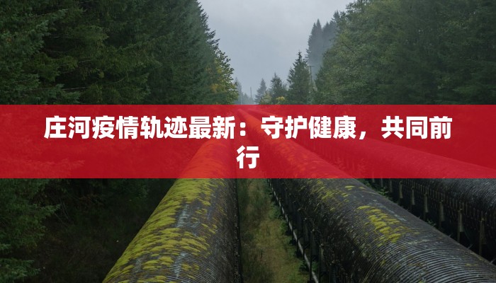 最新疫情漳州：守护健康，拥抱活力