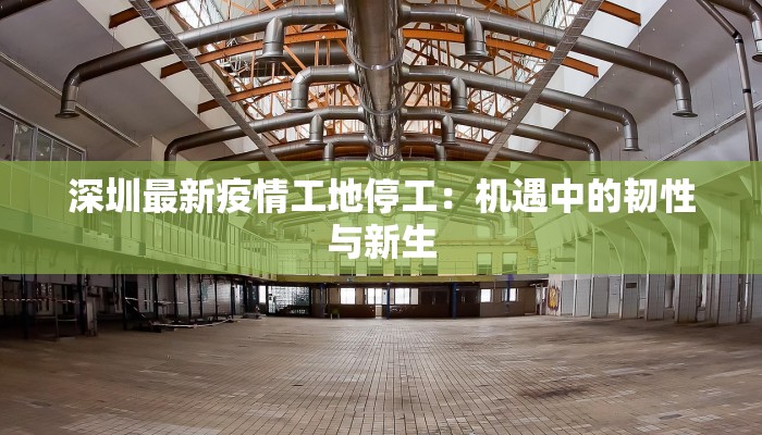 深圳最新疫情工地停工：机遇中的韧性与新生