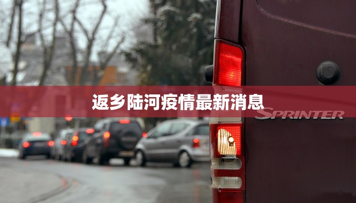 返乡陆河疫情最新消息