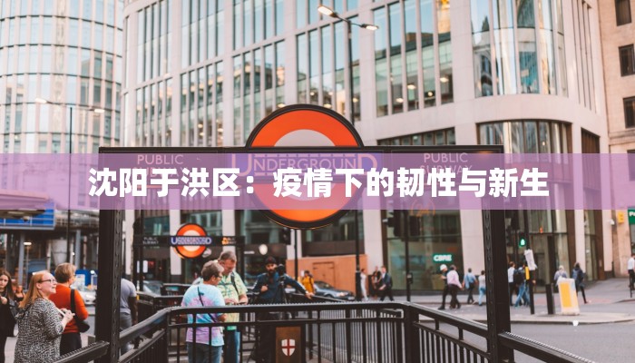 疫情最新报道成武:守护家园的温暖力量 疫情最新报道成武:守护家园的温暖力量