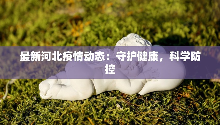 最新河北疫情动态：守护健康，科学防控