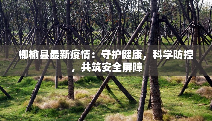 天津最新肯德基疫情：安全守护，美味不打烊