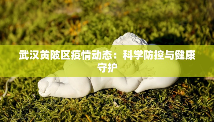 湘潭株洲最新疫情：科学防控，共筑健康防线