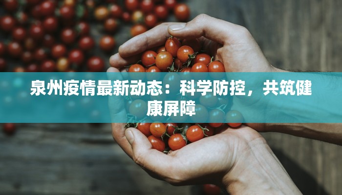 泉州疫情最新动态：科学防控，共筑健康屏障