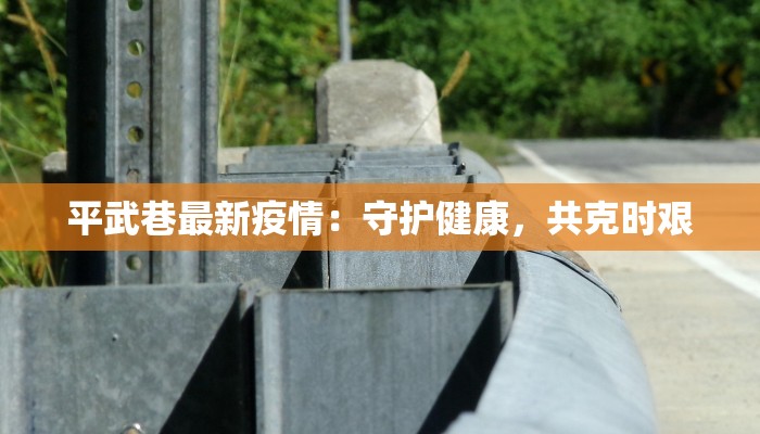 平武巷最新疫情:守护健康,共克时艰 平武巷最新疫情:守护健康,共克时艰