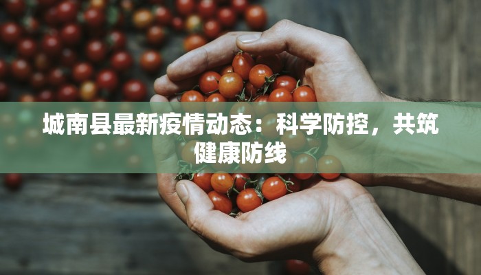 城南县最新疫情动态：科学防控，共筑健康防线