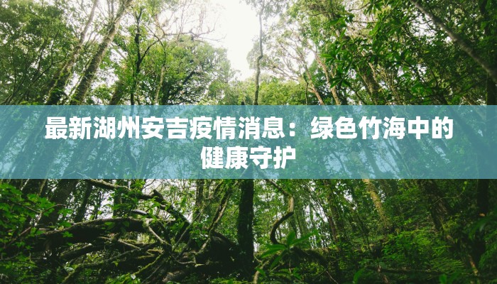最新湖州安吉疫情消息:绿色竹海中的健康守护 最新湖州安吉疫情消息:绿色竹海中的健康守护