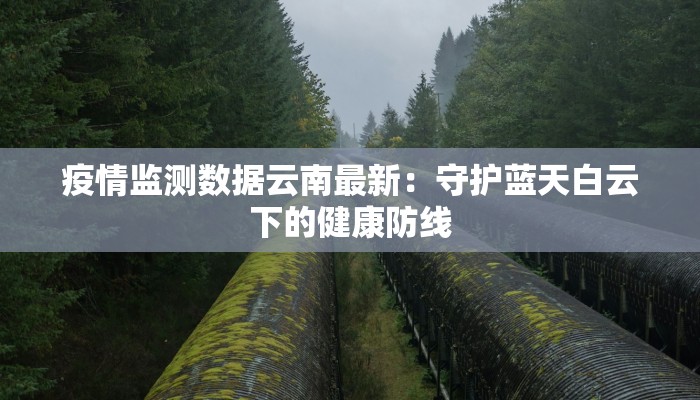 大连最新疫情举报:守护家园,从你我做起 大连最新疫情举报:守护家园,从你我做起