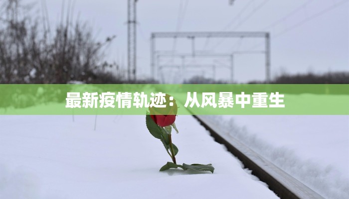 最新疫情轨迹：从风暴中重生