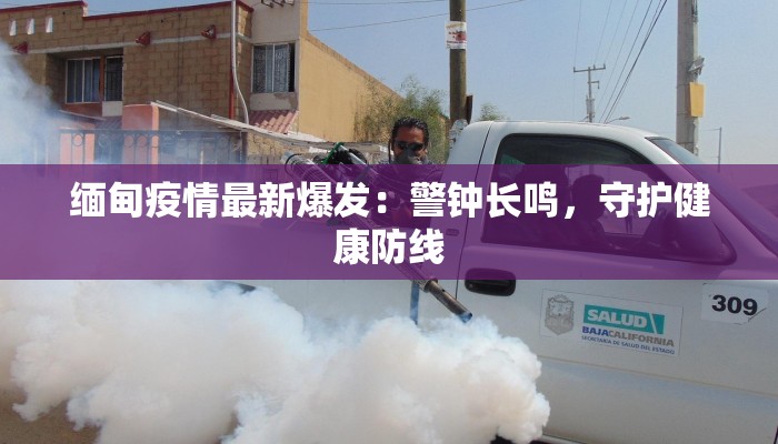 缅甸疫情最新爆发:警钟长鸣,守护健康防线 缅甸疫情最新爆发:警钟长鸣,守护健康防线