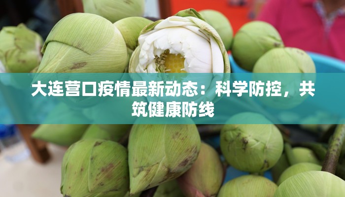 大连营口疫情最新动态：科学防控，共筑健康防线