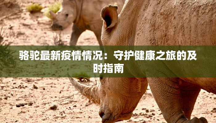 骆驼最新疫情情况：守护健康之旅的及时指南