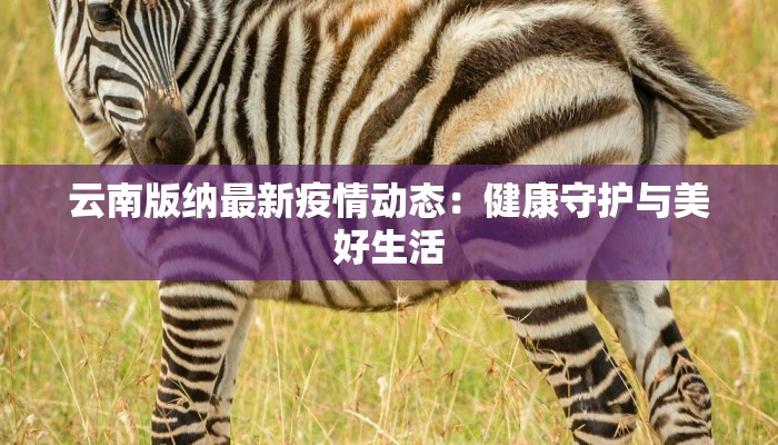 全国疫情等级风险最新 全国疫情等级风险最新